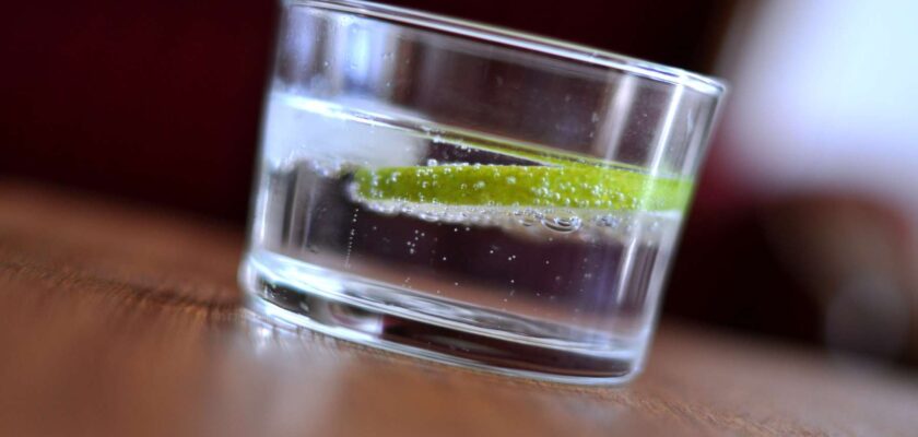 Las mejores y más baratas ginebras para hacer un Gin Tonic en el Día Mundial del Gin Tonic
